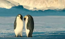 企鹅视频,精彩内容一网打尽，带你领略视听盛宴